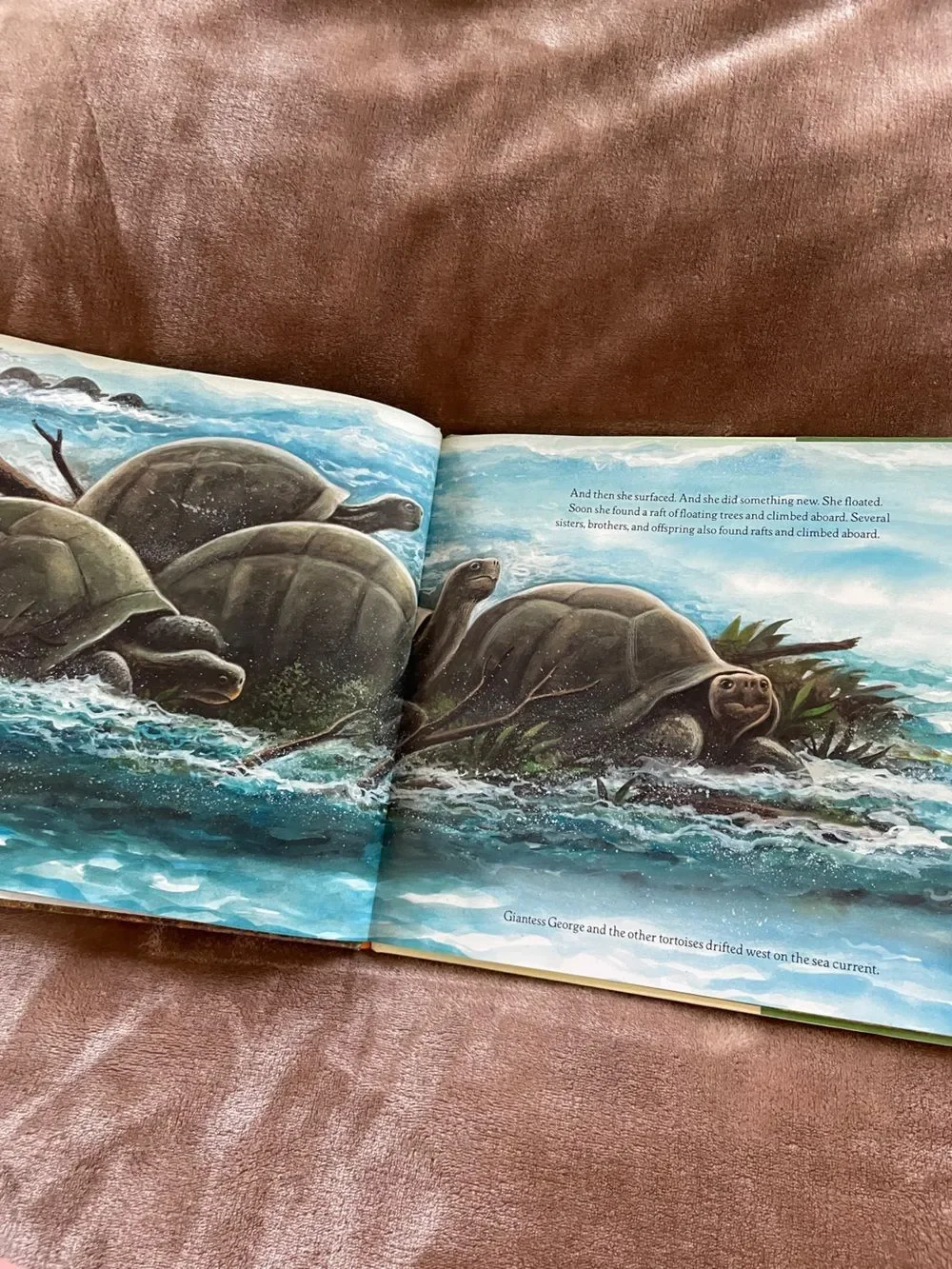 Harper Collins Jean Craighead George Galàpagos George Picture Book Science